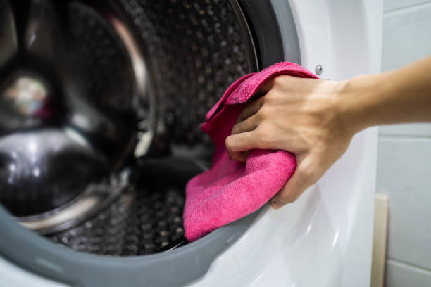 Reliable Tamaqua, PA Mold Removal Solutions