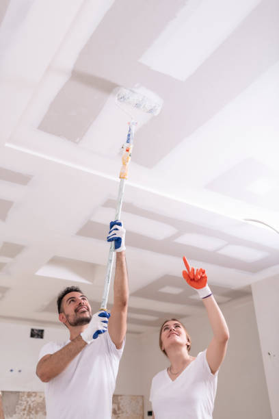 Mold Remediation for Rental Properties in Tamaqua, PA