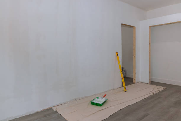 Best Post-Construction Mold Inspection  in Tamaqua, PA