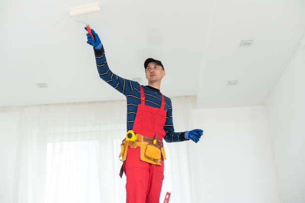 Best Forensic Mold Investigation  in Tamaqua, PA