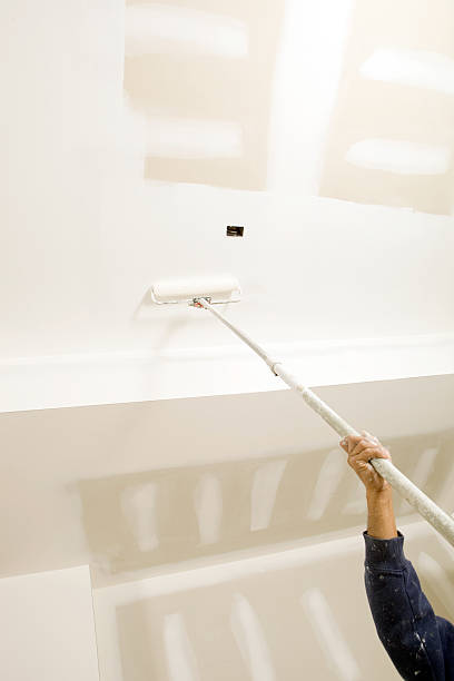 Mold Documentation for Insurance Claims in Tamaqua, PA